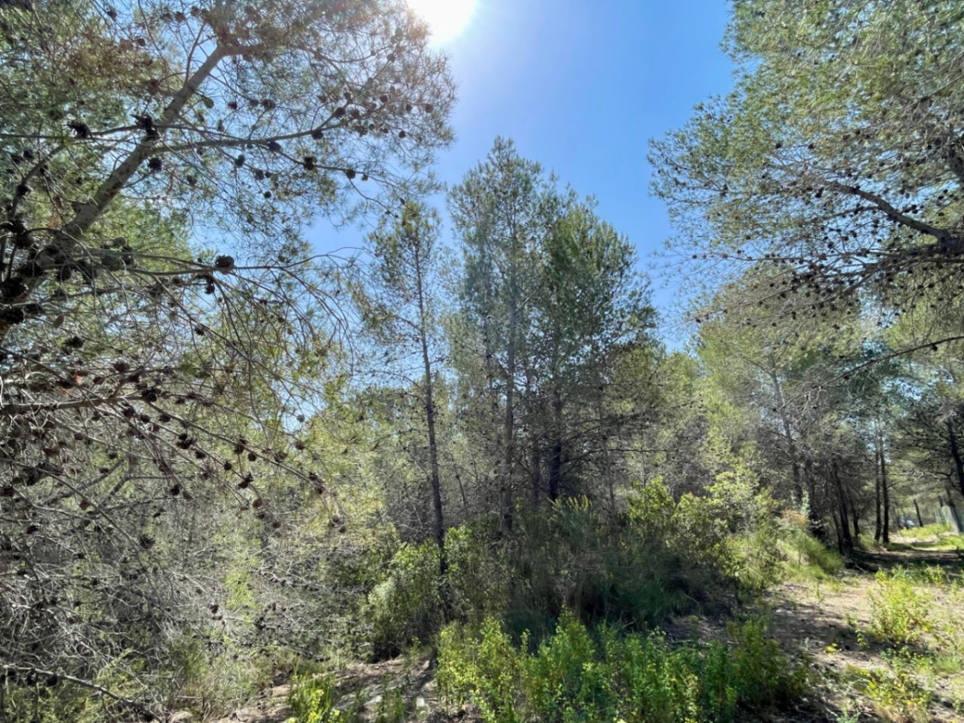 Land for sale in Benissa
