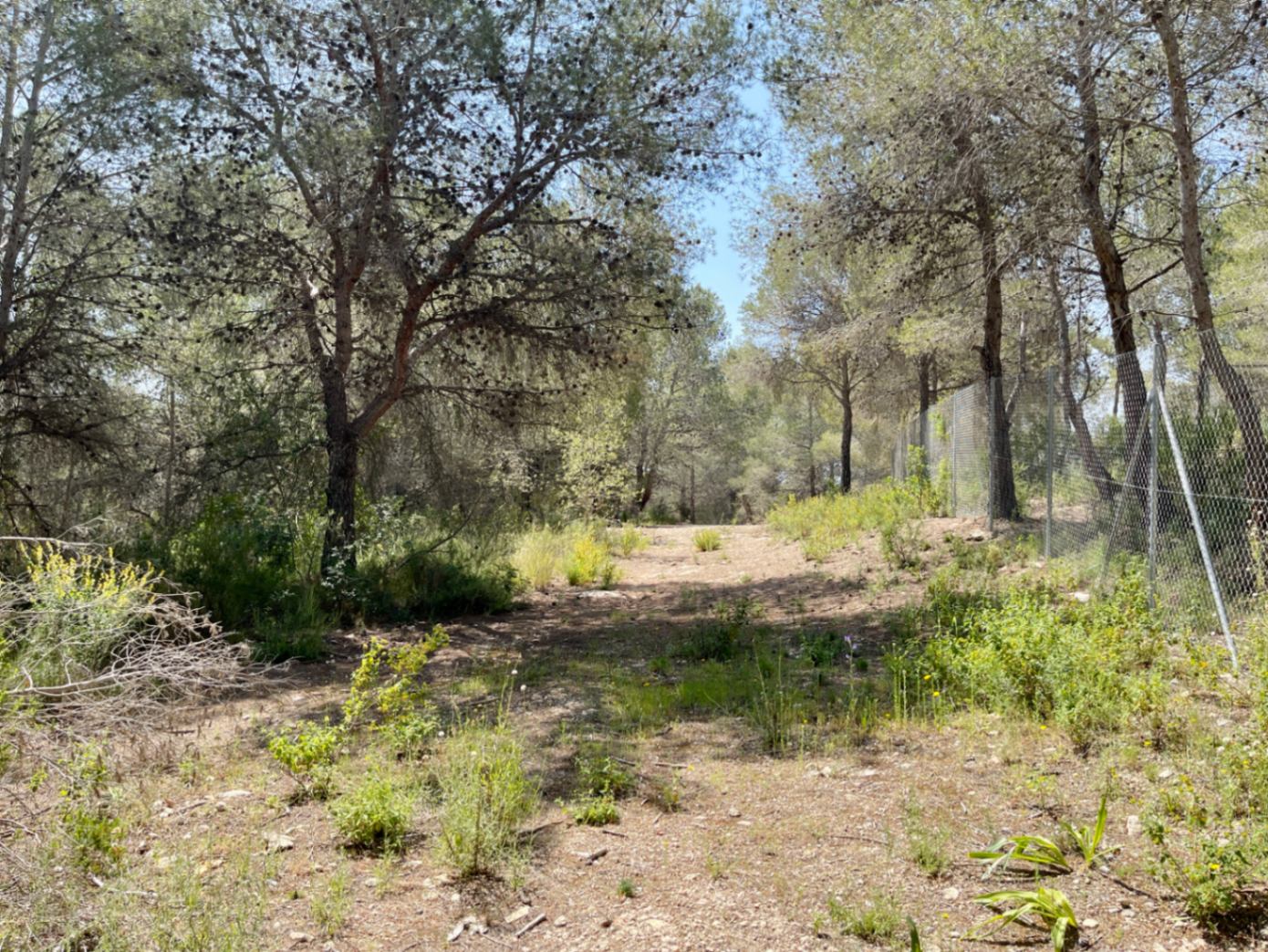 Land for sale in Benissa
