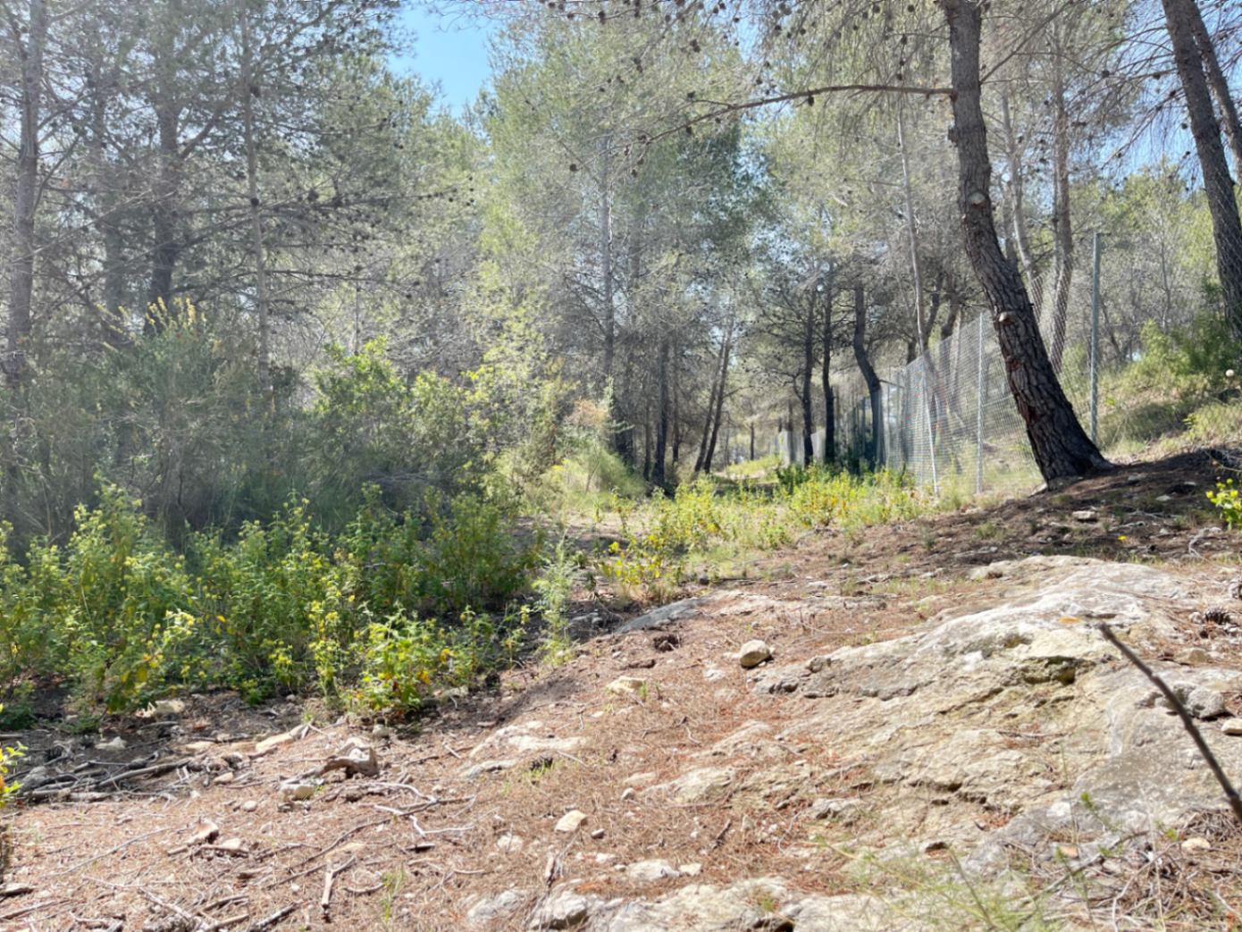 Land for sale in Benissa
