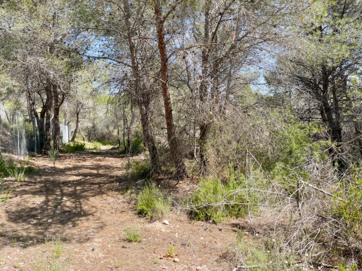 Land for sale in Benissa