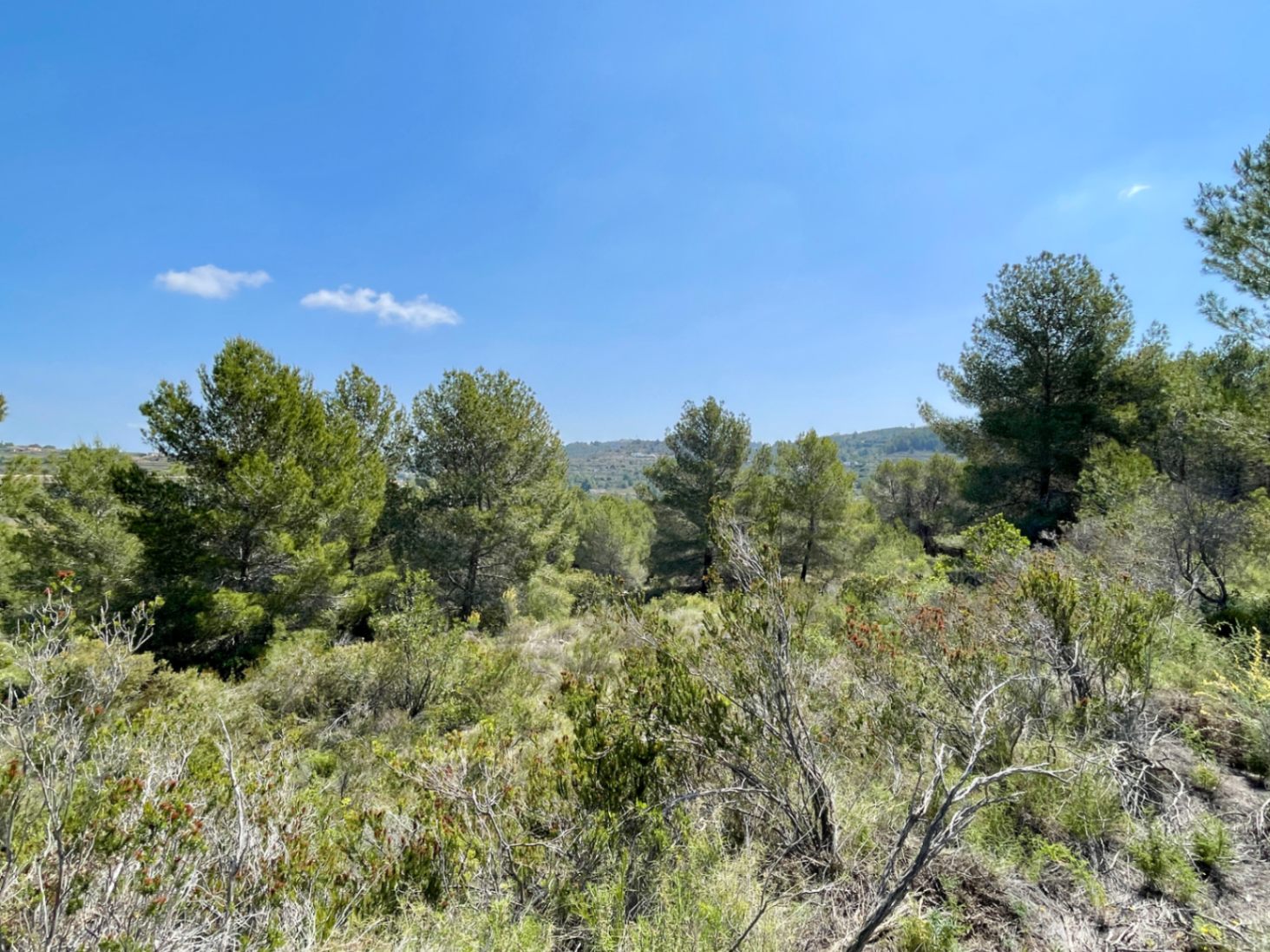 Land for sale in Benissa