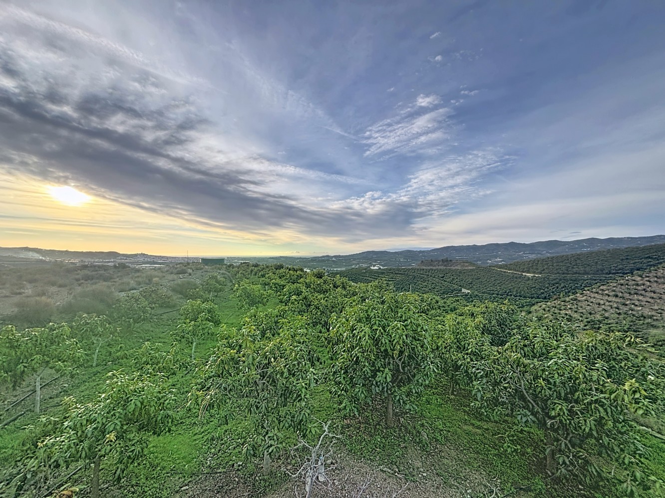 Land for sale in Vélez-Málaga