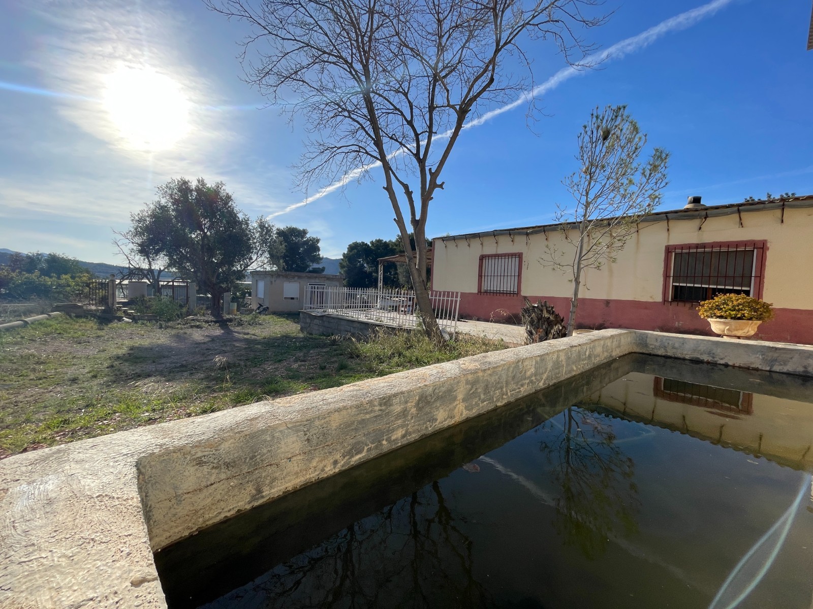 Finca for sale in Aspe