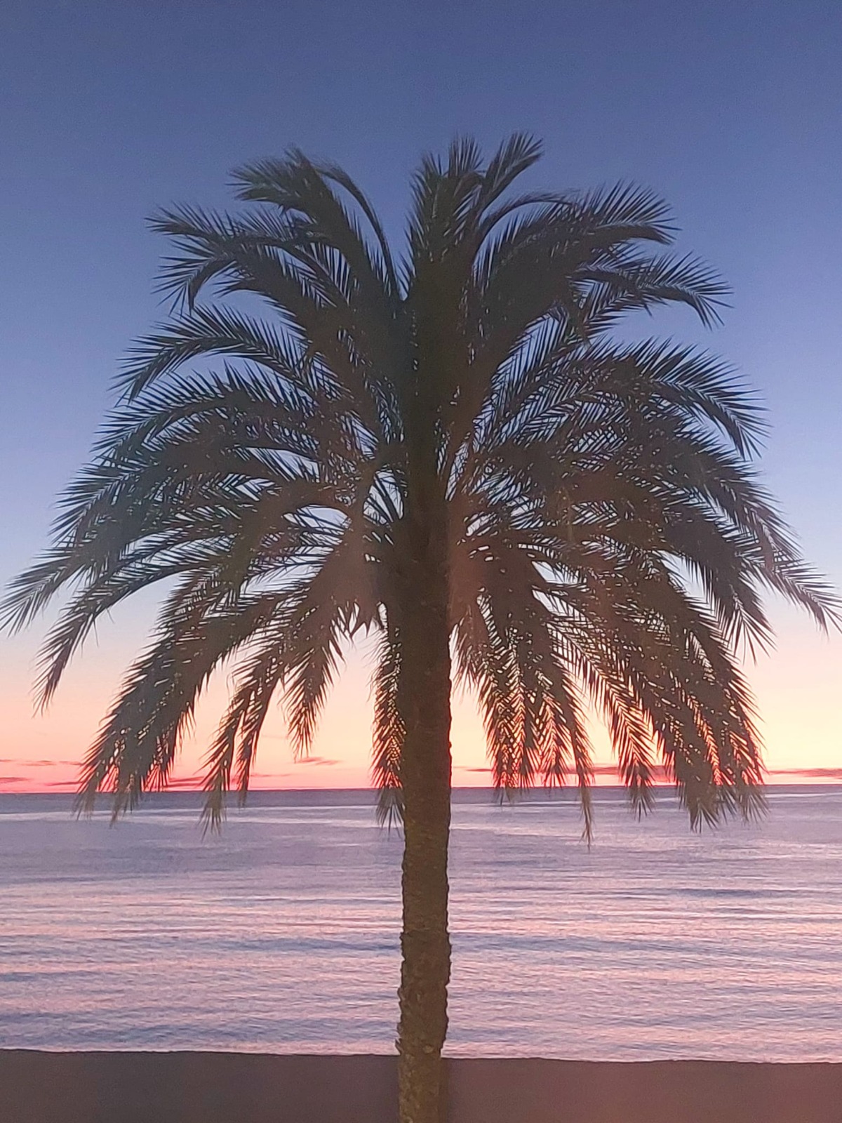 DP-02-ENJ-AP-00244-D-18 Apartment for sale in Altea
