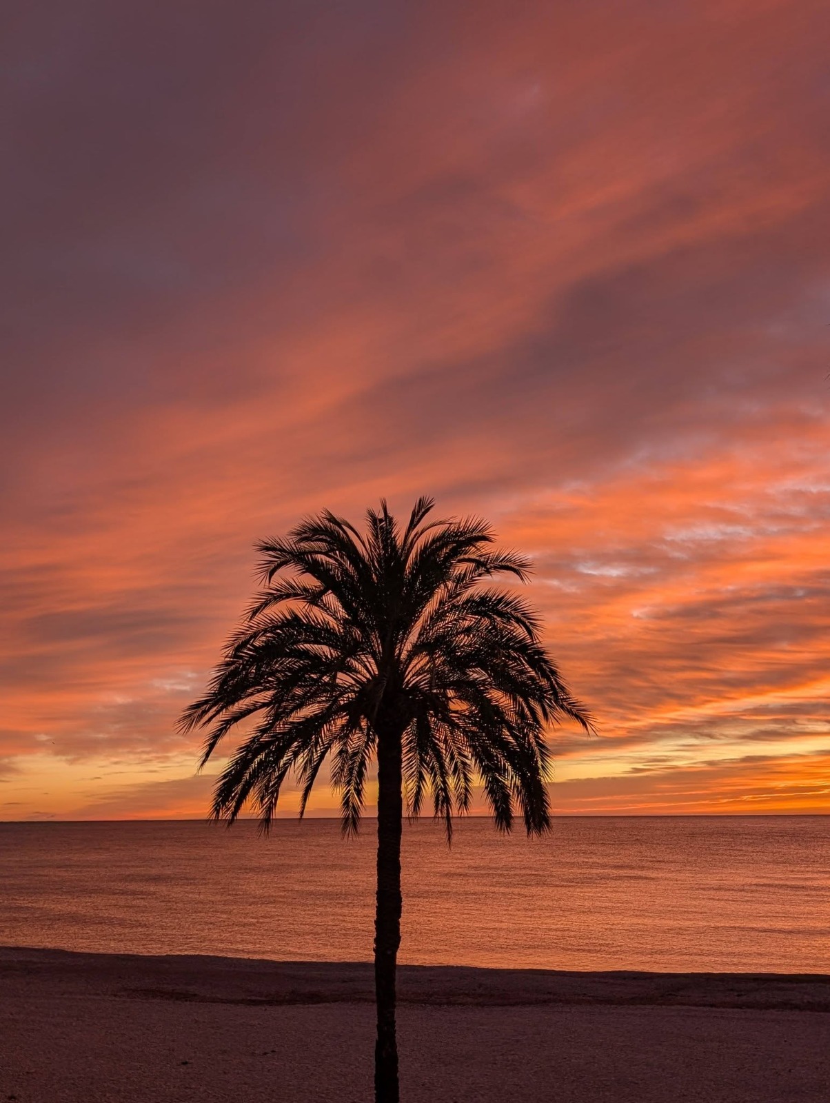 DP-02-ENJ-AP-00244-D-19 Apartment for sale in Altea