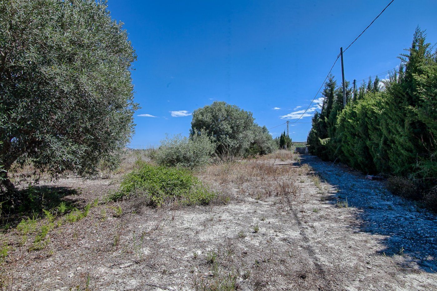 DP-07-11147DA-13 Finca for sale in Moraira