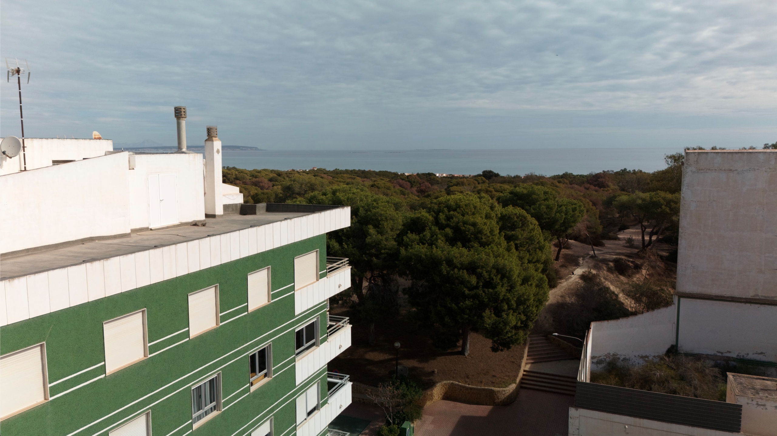 New build Apartment for sale in Guardamar del Segura
