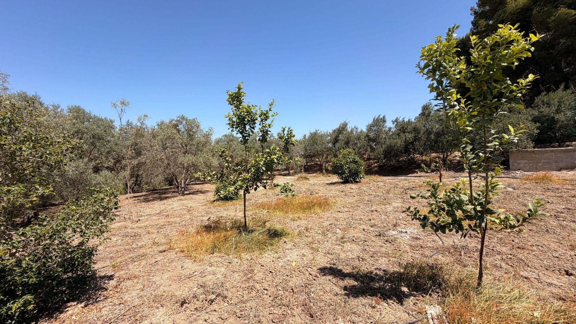 Finca for sale in Alhaurín el Grande