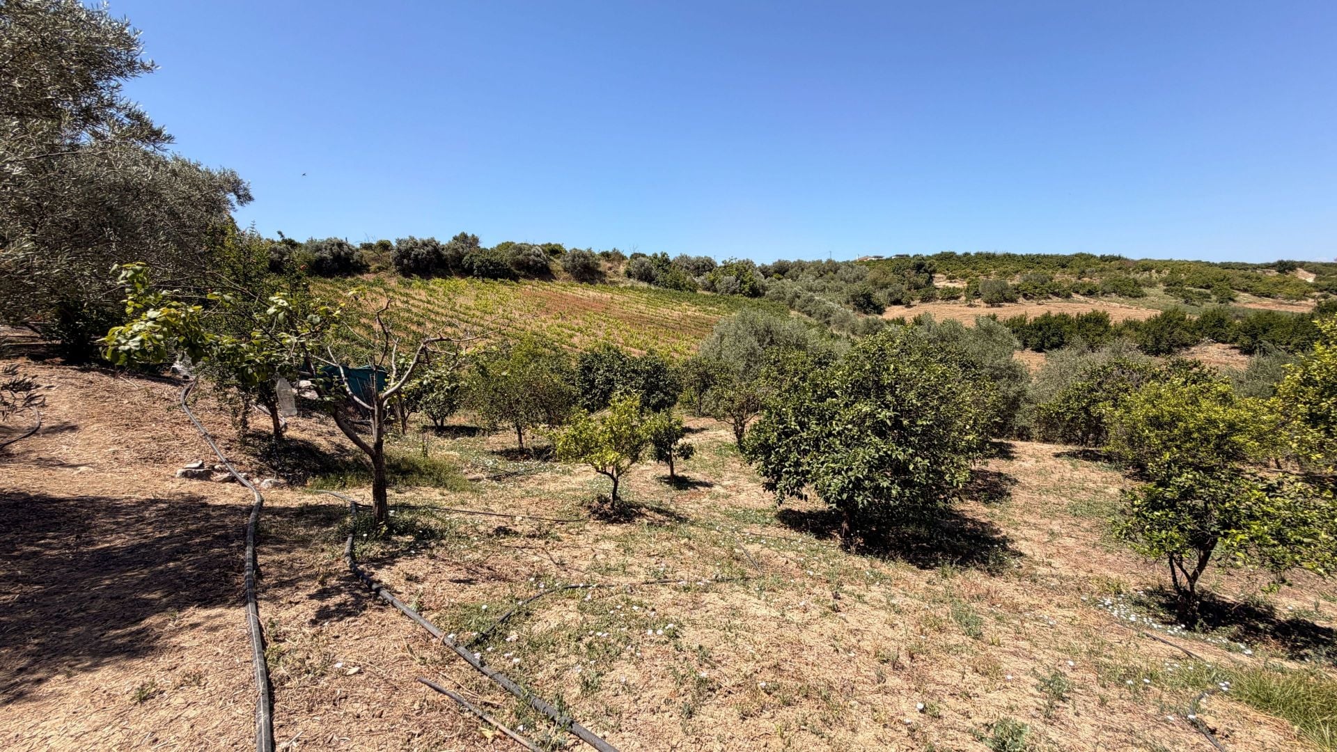 Finca for sale in Alhaurín el Grande