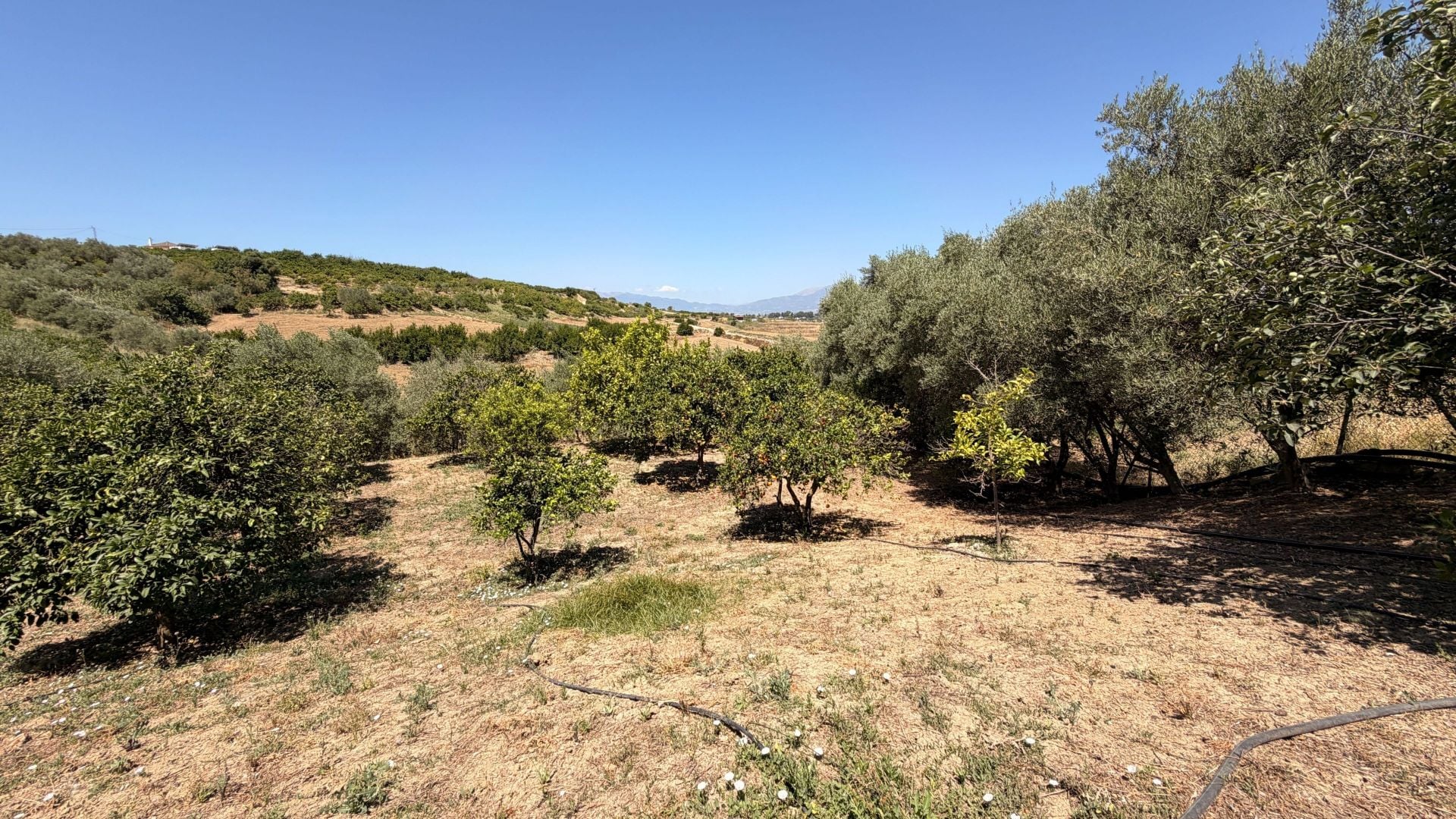 Finca for sale in Alhaurín el Grande