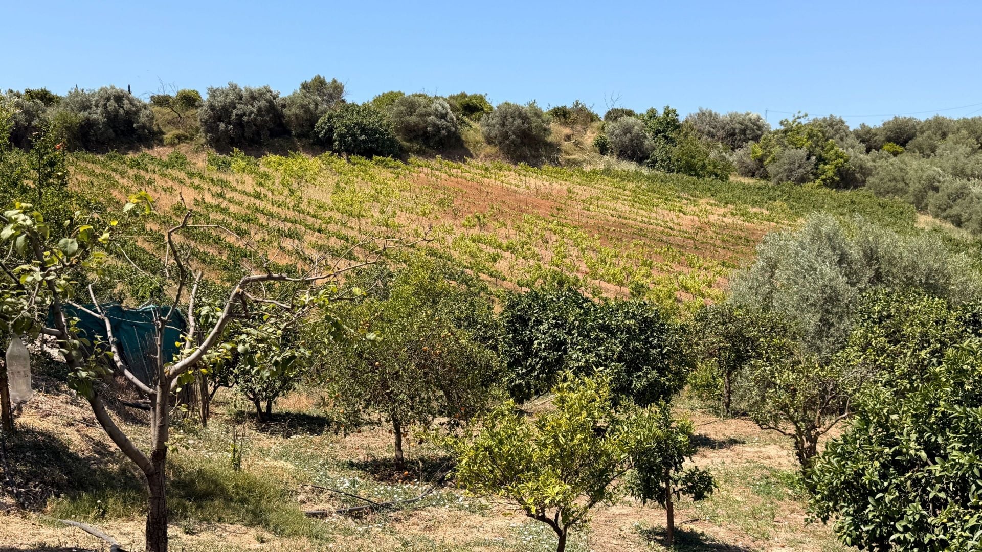 Finca for sale in Alhaurín el Grande