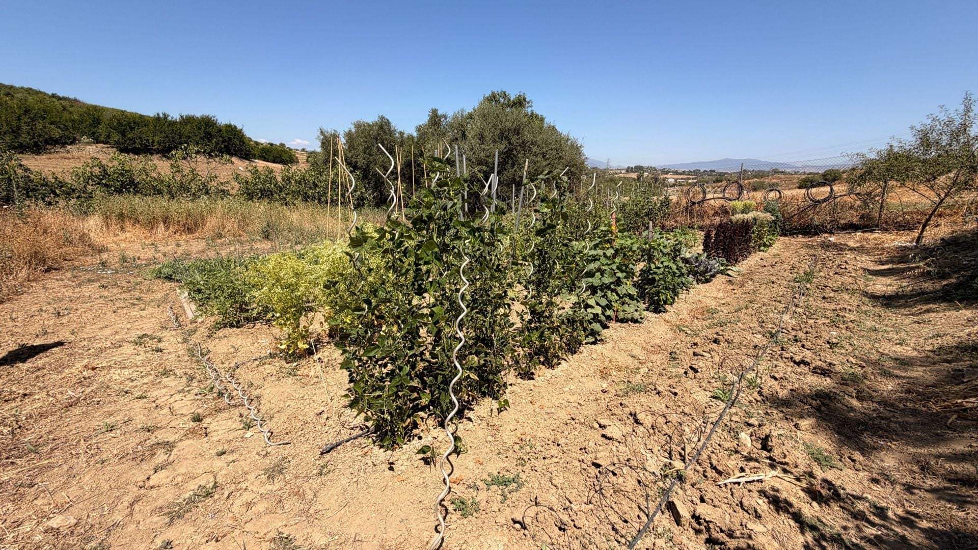 Finca for sale in Alhaurín el Grande