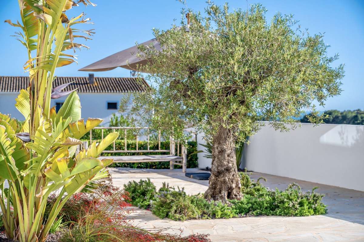 DP-54-712875-6 Villa for sale in Benitachell