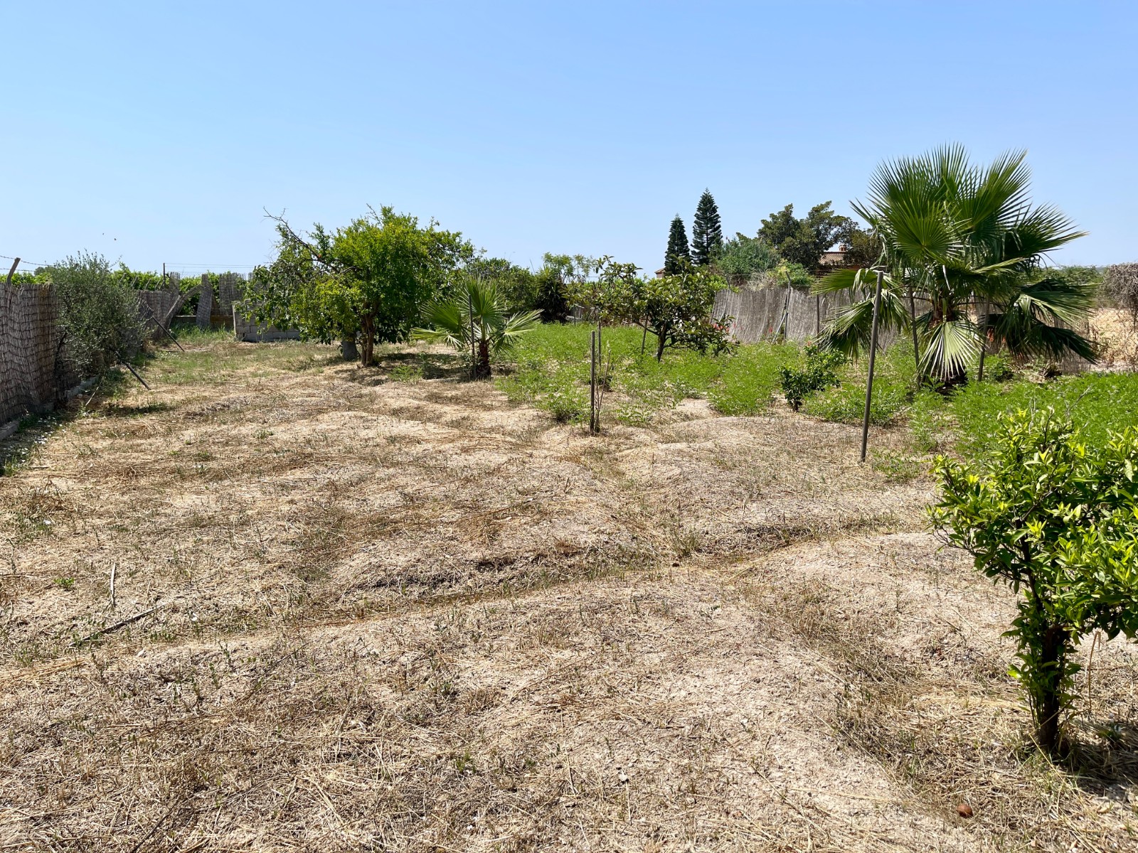 DP-75-SLE1508-17 Villa for sale in Daya Nueva