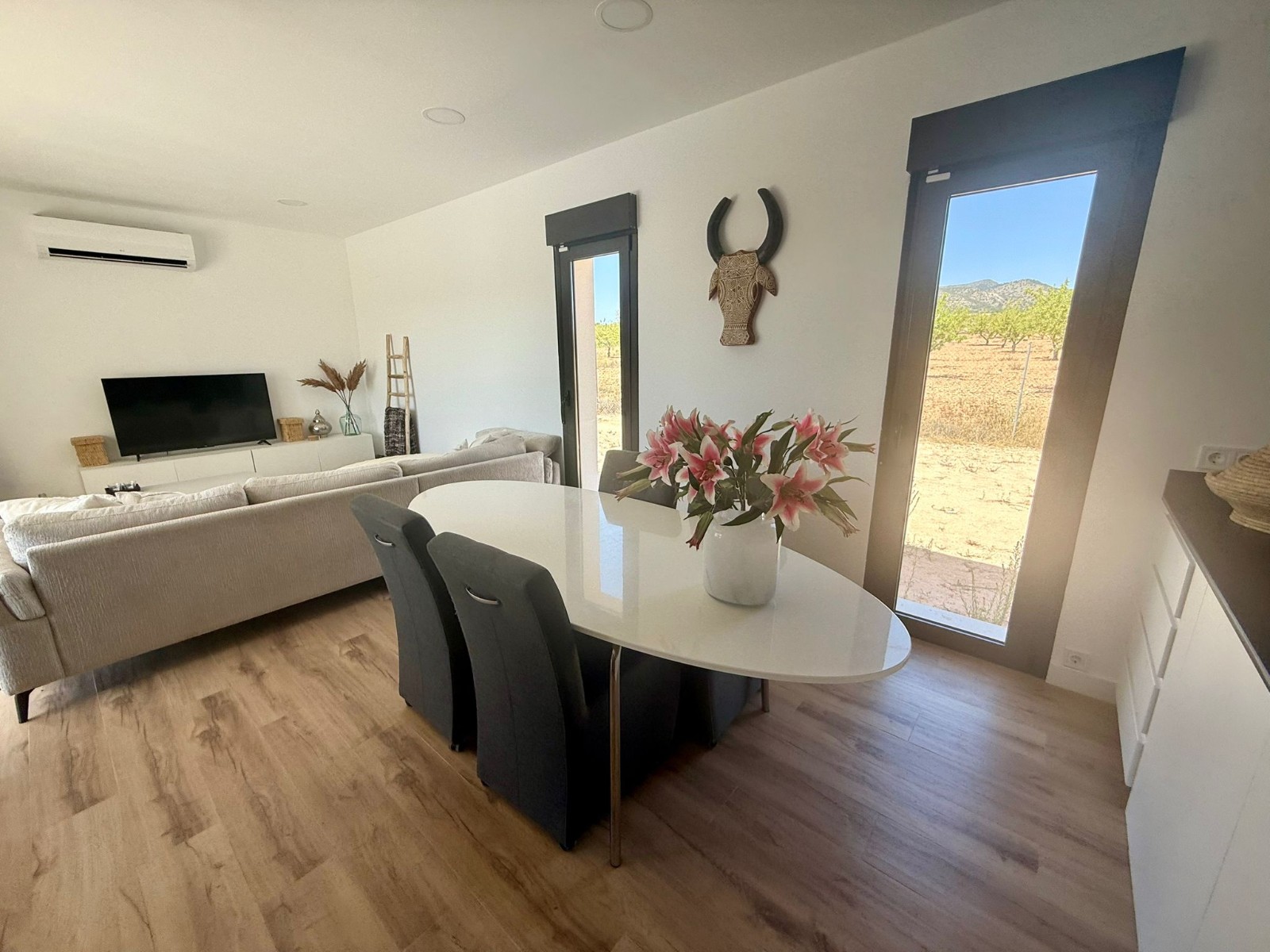 Villa for sale in Pinoso