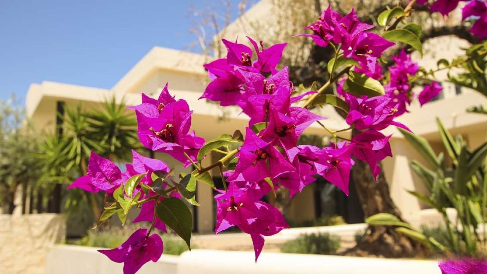 New build Villa for sale in La Marina