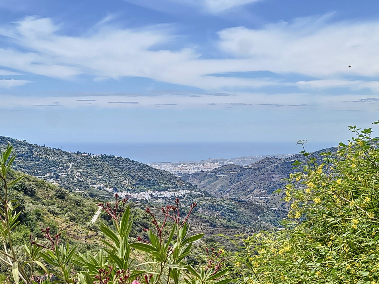 DP-26-6329-3 Villa for sale in Sayalonga