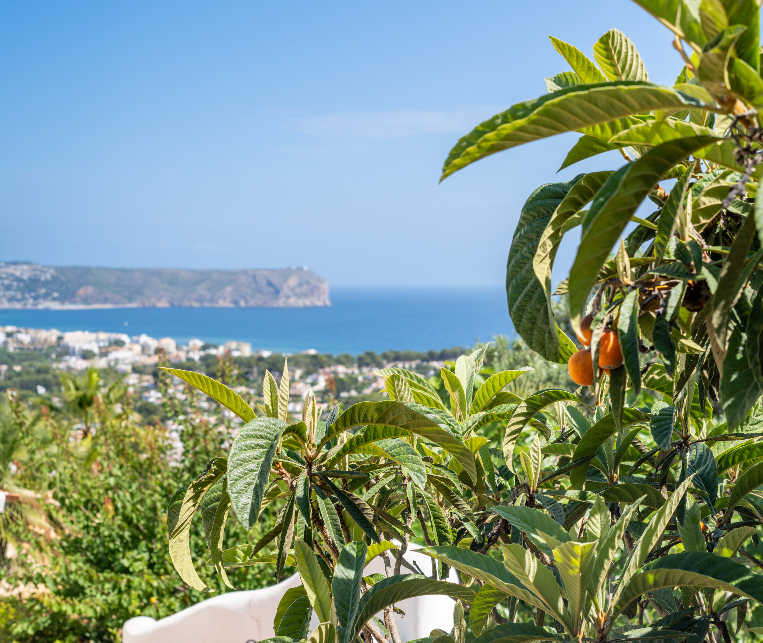 Villa for sale in Javea