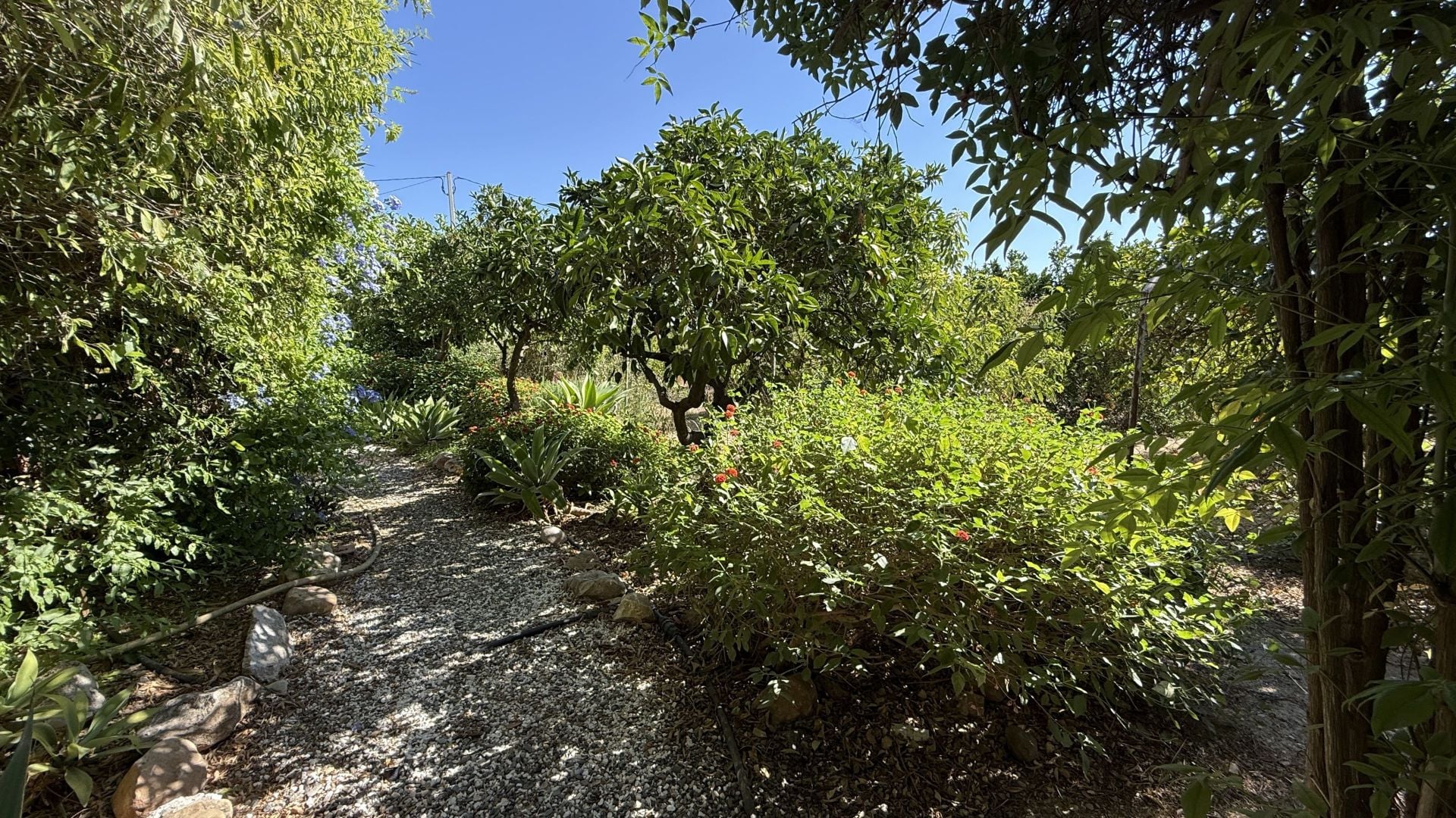 Finca for sale in Alhaurín el Grande