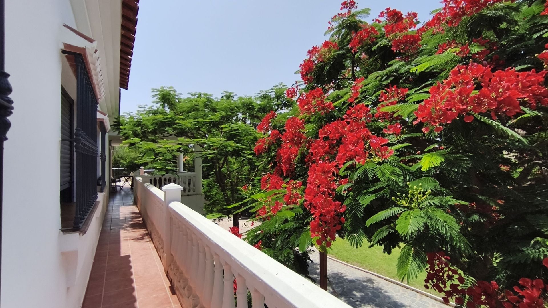 Finca for sale in Alhaurín de la Torre