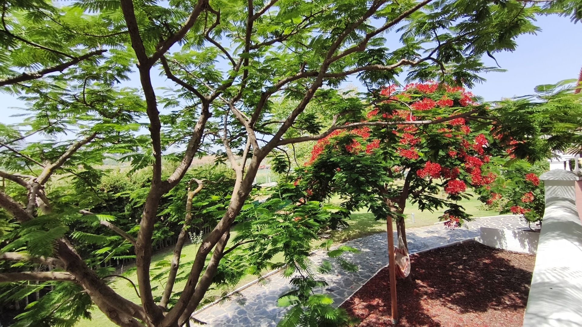 Finca for sale in Alhaurín de la Torre