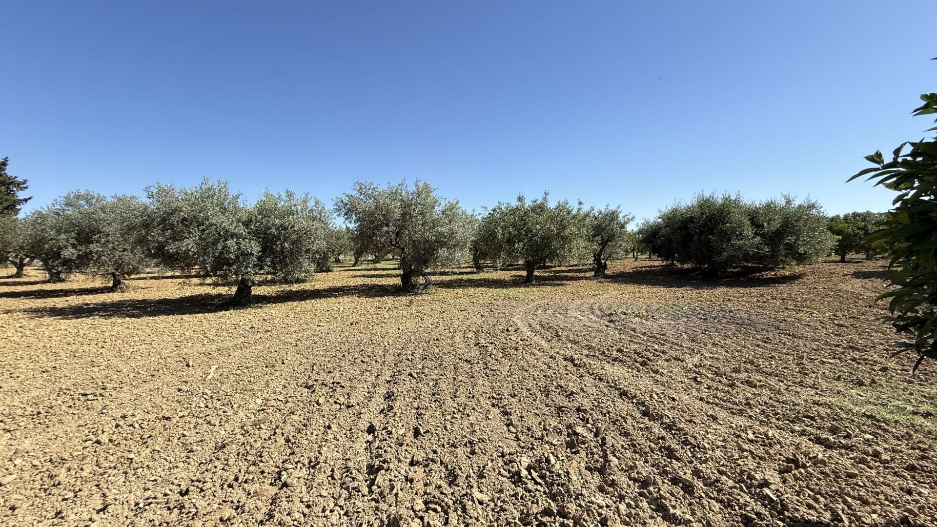 Finca for sale in Alhaurín el Grande
