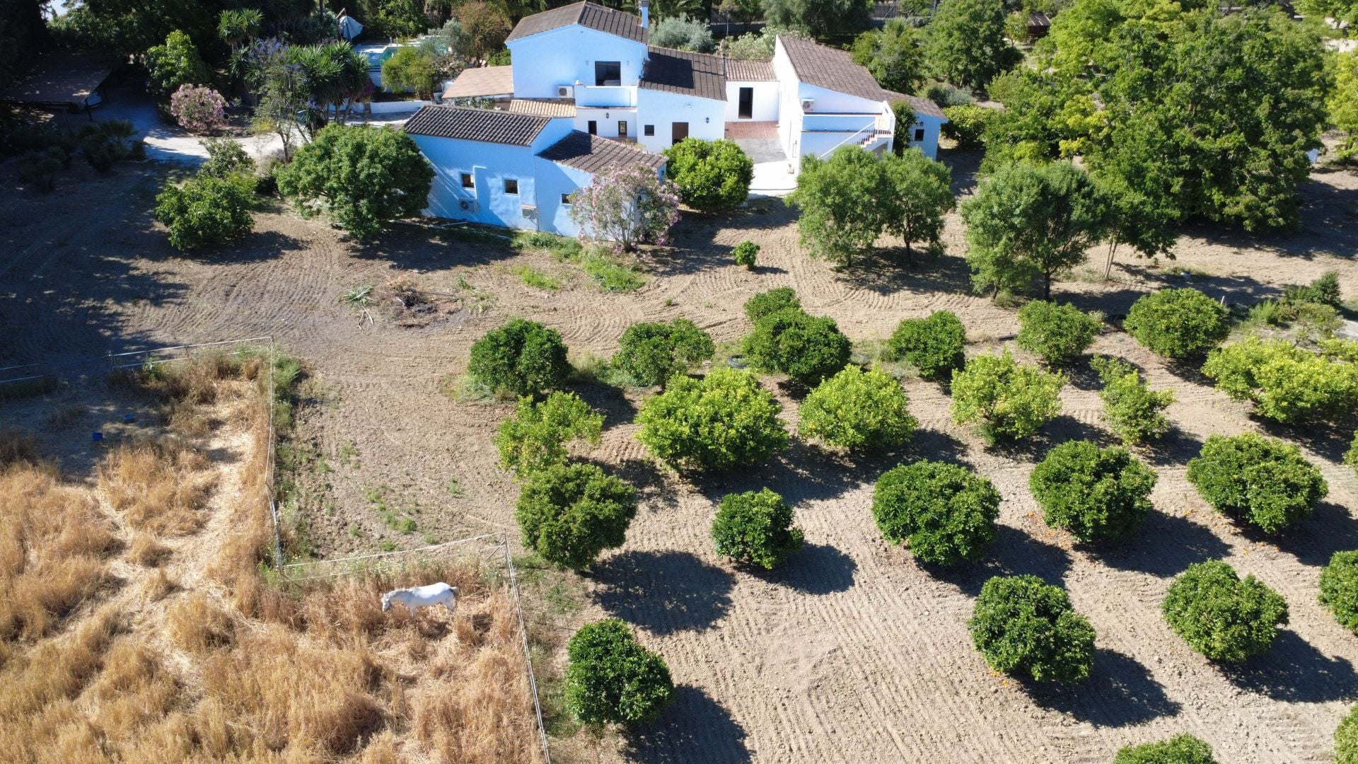 Finca for sale in Alhaurín el Grande