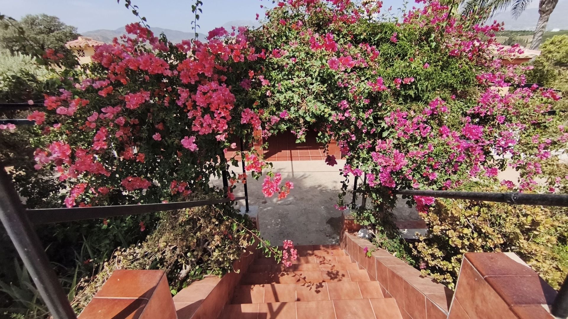 DP-52-F5468893-24 Finca for sale in Coín
