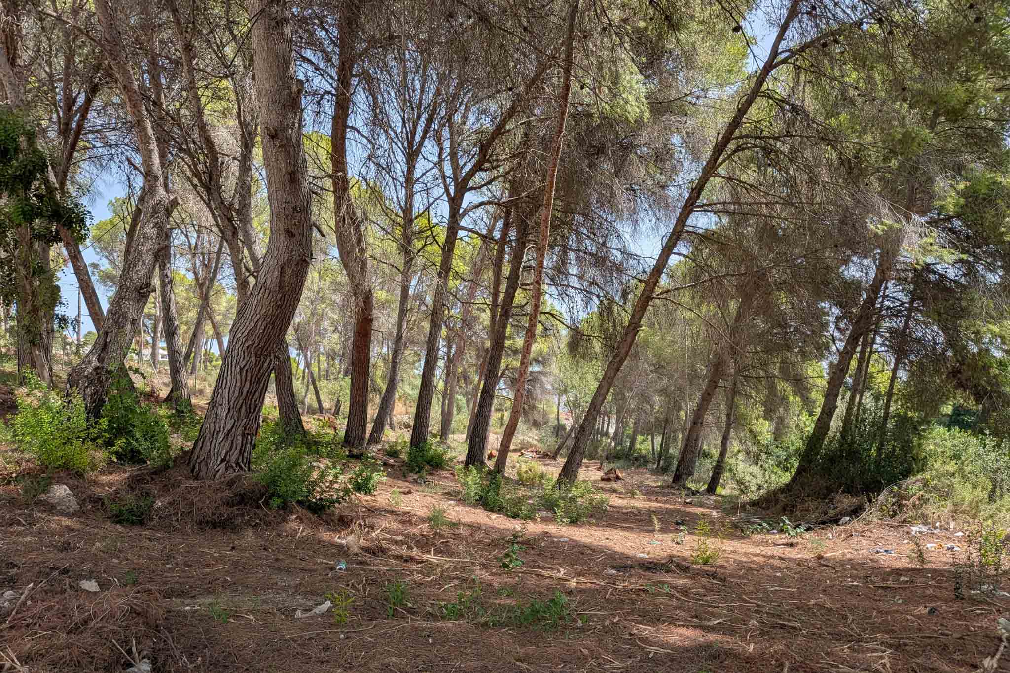 Land for sale in Moraira