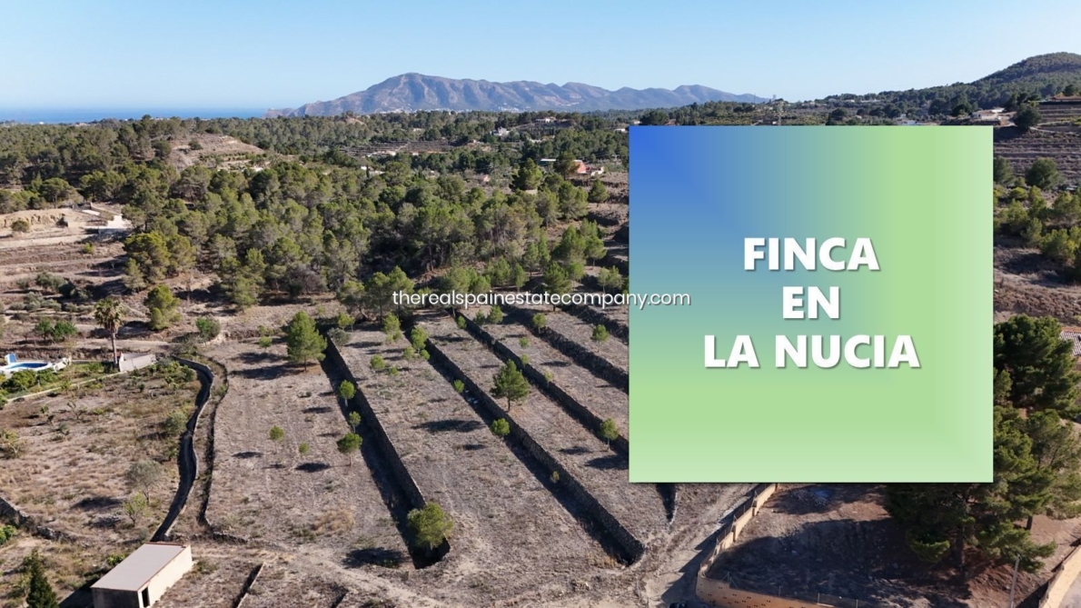 DP-02-ENJ-PL-00017-D-10 Rural Land for sale in La Nucia