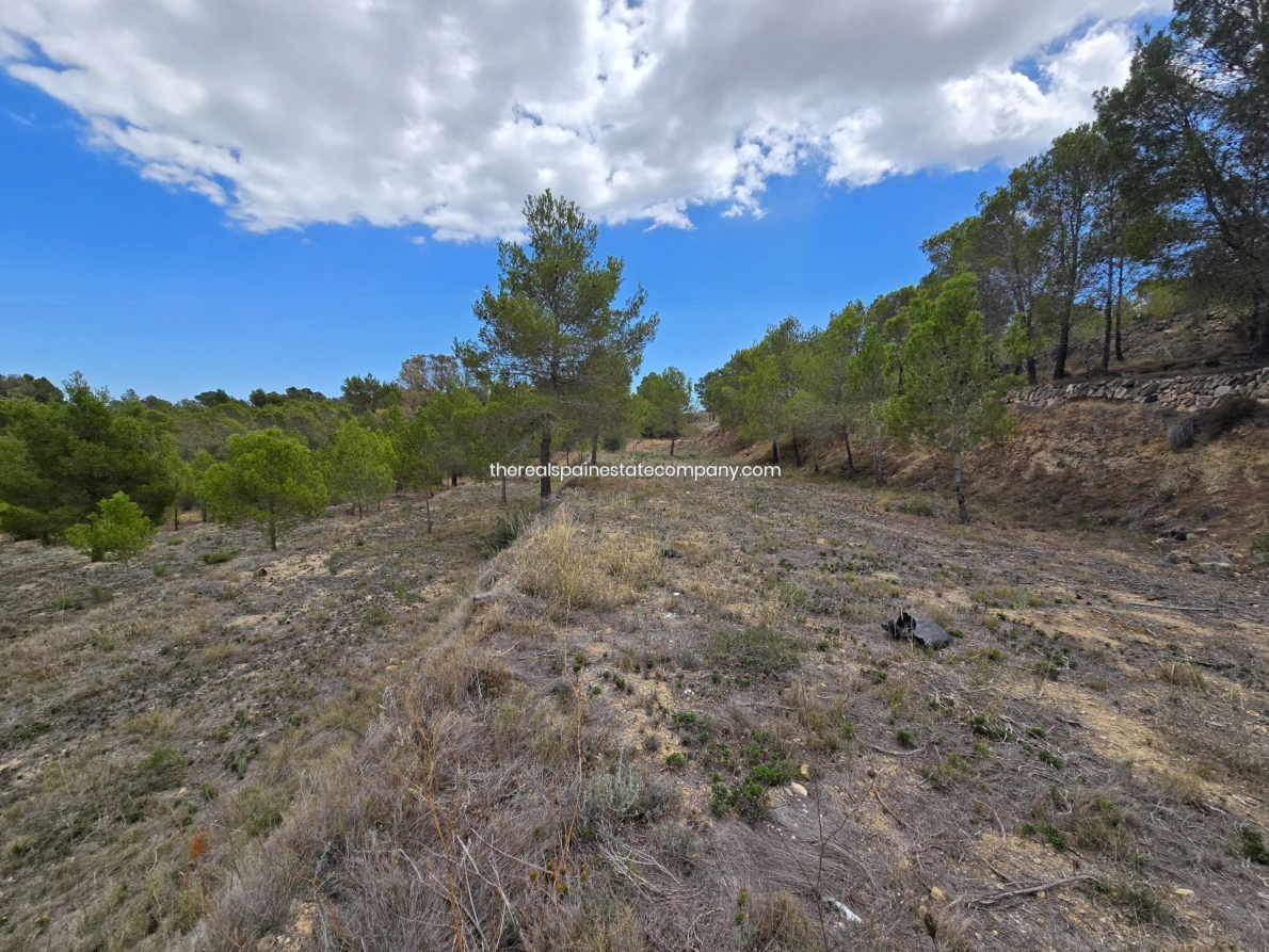 DP-02-ENJ-PL-00017-D-11 Rural Land for sale in La Nucia