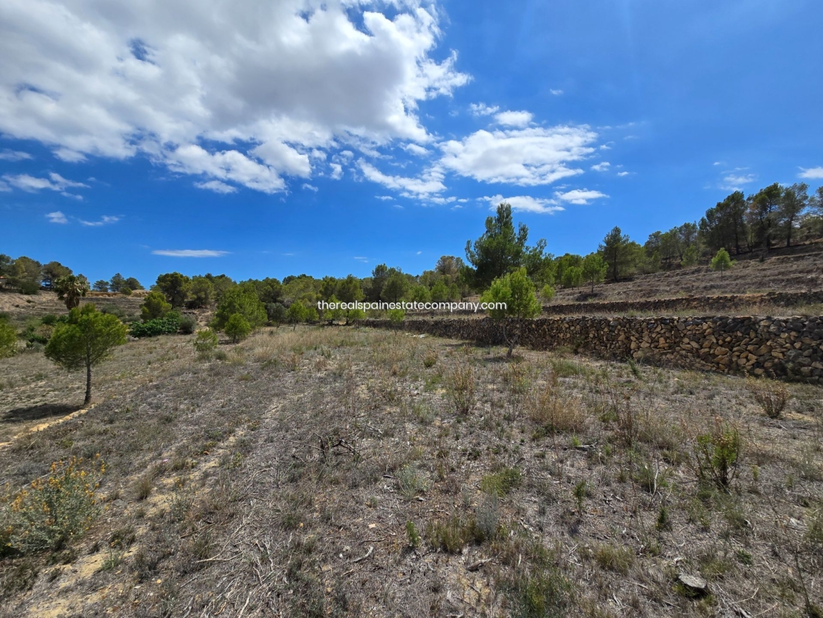 DP-02-ENJ-PL-00017-D-12 Rural Land for sale in La Nucia