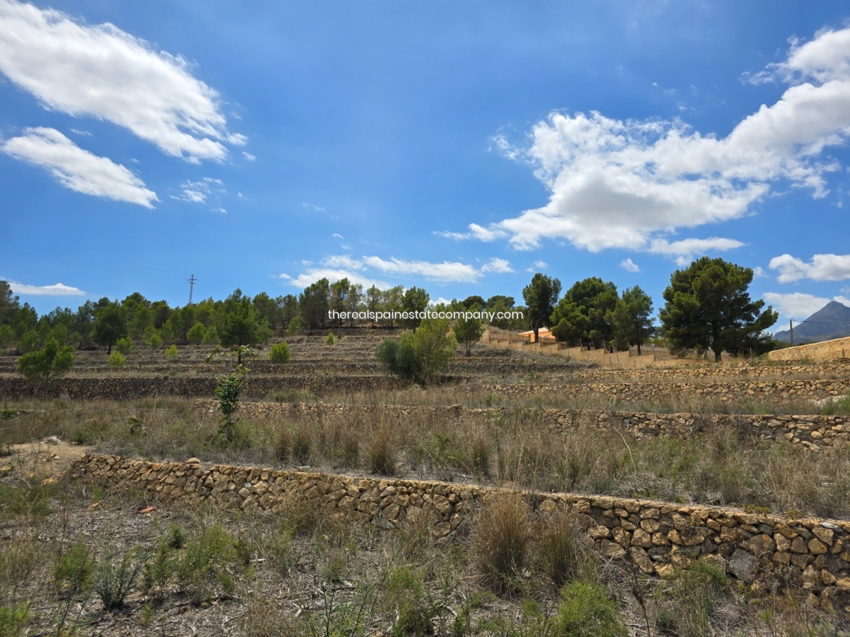 DP-02-ENJ-PL-00017-D-13 Rural Land for sale in La Nucia