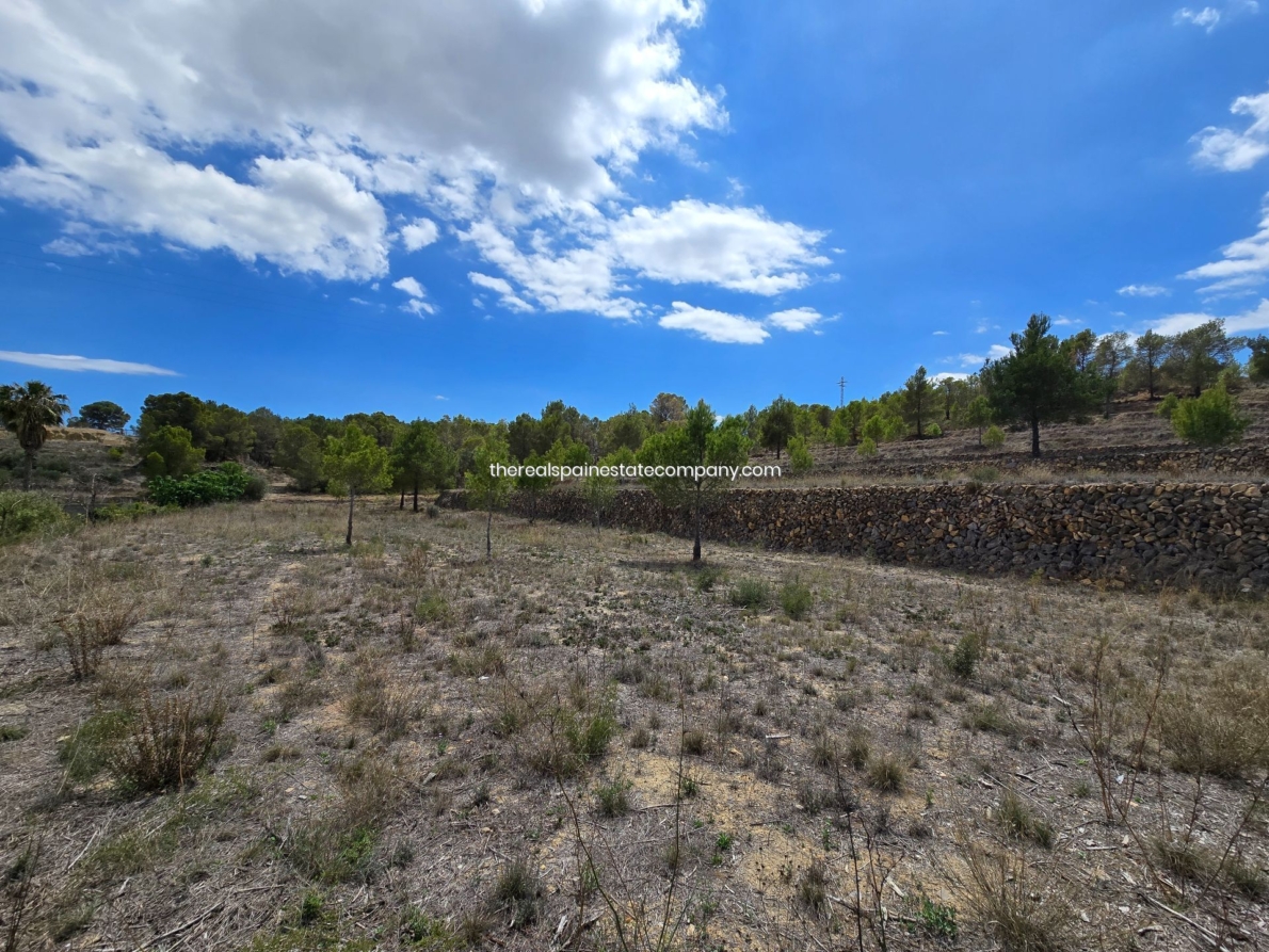 DP-02-ENJ-PL-00017-D-15 Rural Land for sale in La Nucia