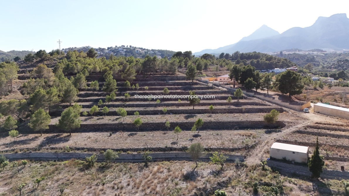 DP-02-ENJ-PL-00017-D-18 Rural Land for sale in La Nucia