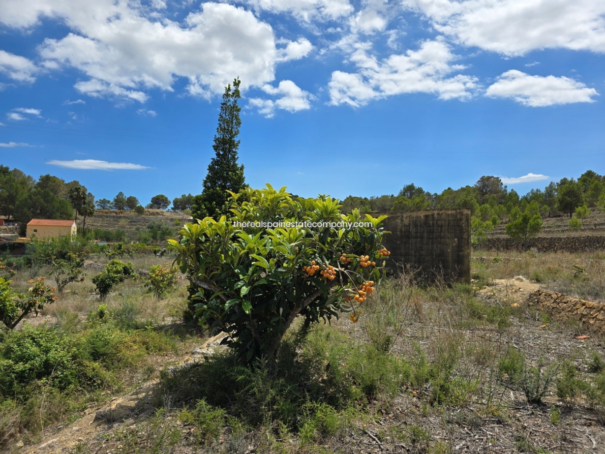 DP-02-ENJ-PL-00017-D-22 Rural Land for sale in La Nucia