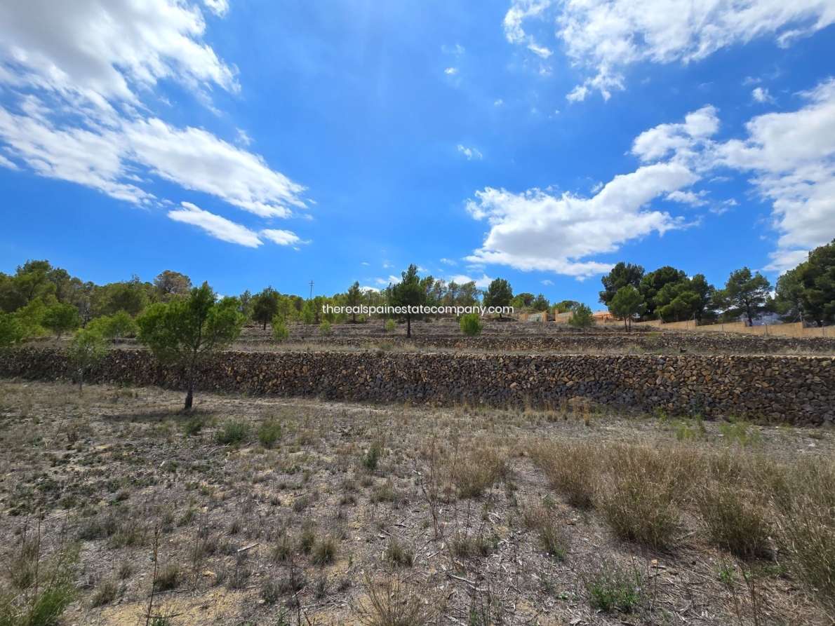 DP-02-ENJ-PL-00017-D-23 Rural Land for sale in La Nucia