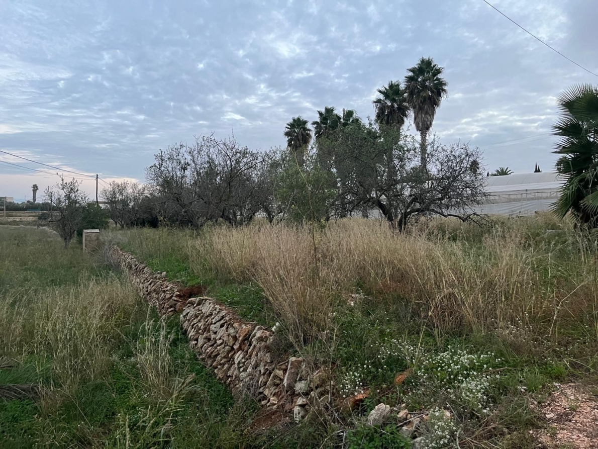 Rural Land for sale in Teulada