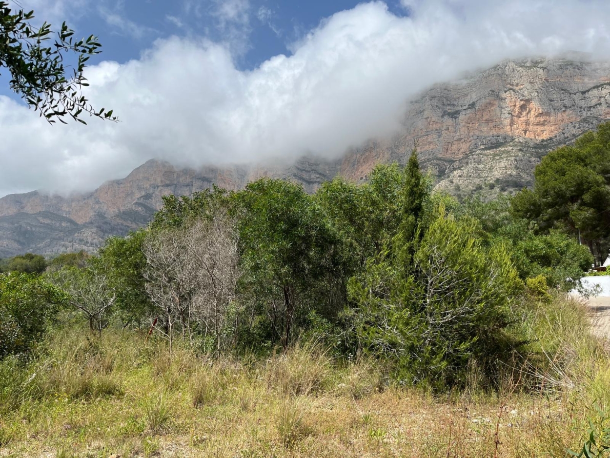 Building Plot for sale in Jávea / Xàbia
