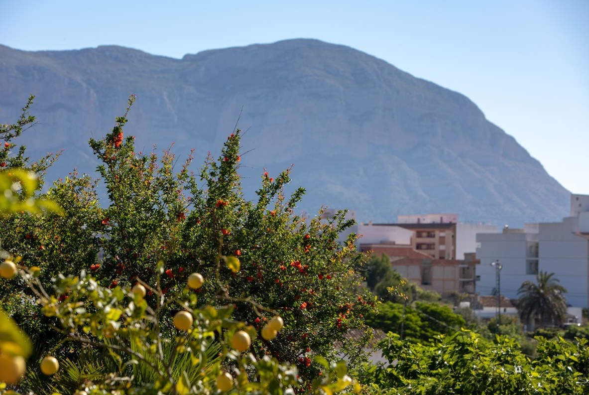 Country Estate for sale in Gata de Gorgos