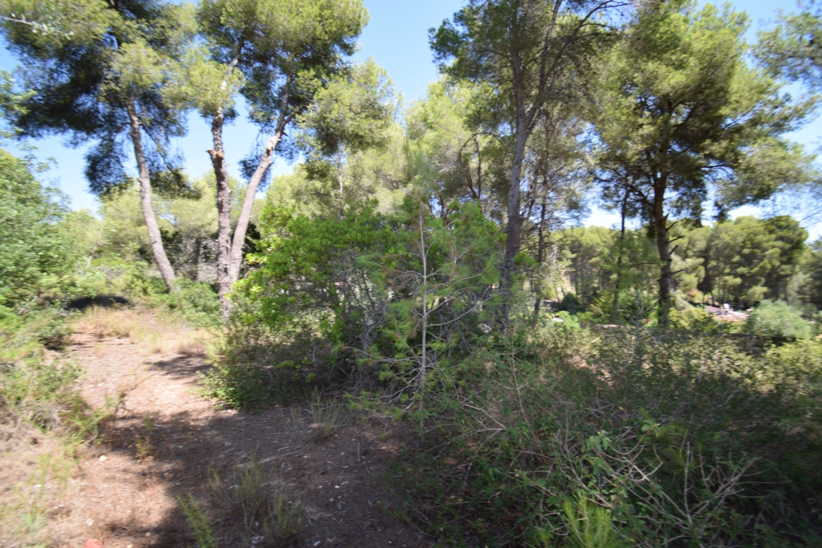 DP-02-ENJ-PL-00065-C-1 Rural Land for sale in Jávea / Xàbia
