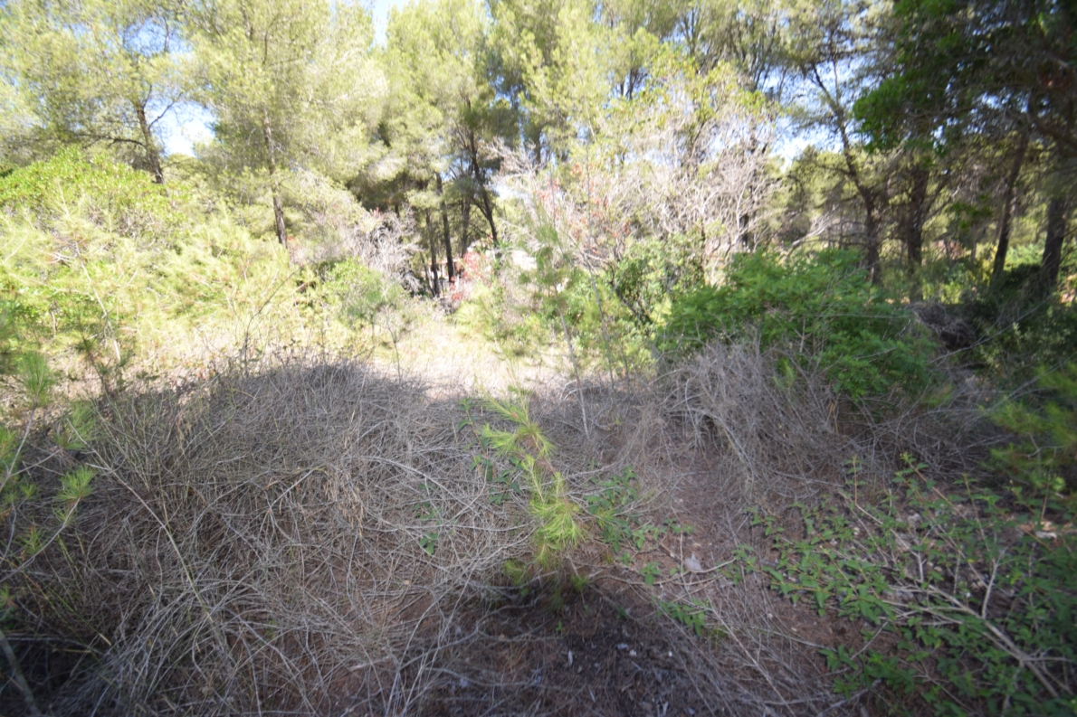 DP-02-ENJ-PL-00065-C-3 Rural Land for sale in Jávea / Xàbia