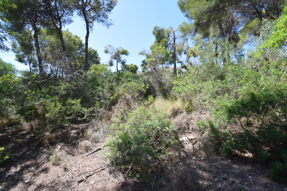 DP-02-ENJ-PL-00065-C-5 Rural Land for sale in Jávea / Xàbia