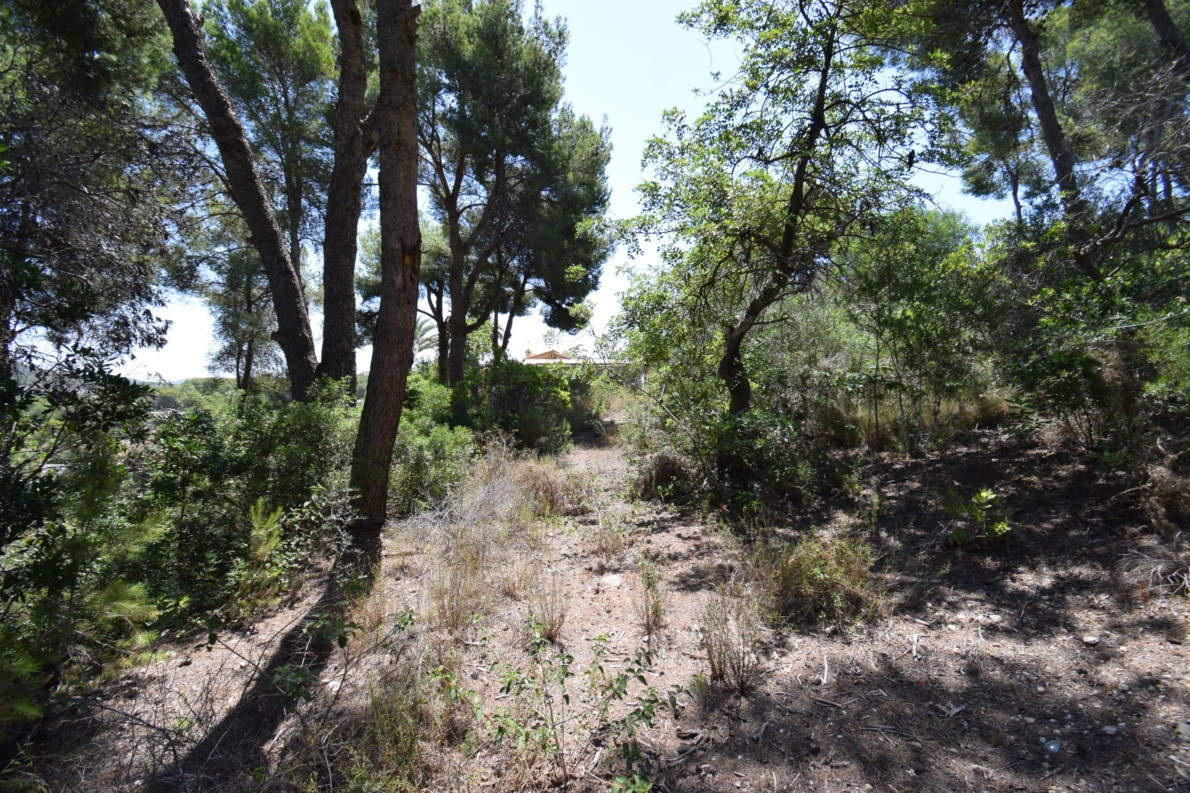 DP-02-ENJ-PL-00065-C-7 Rural Land for sale in Jávea / Xàbia