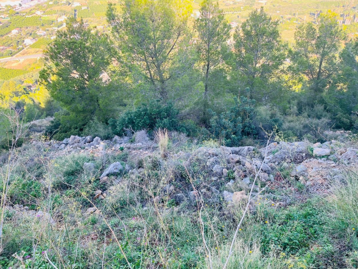 Building Plot for sale in Pedreguer