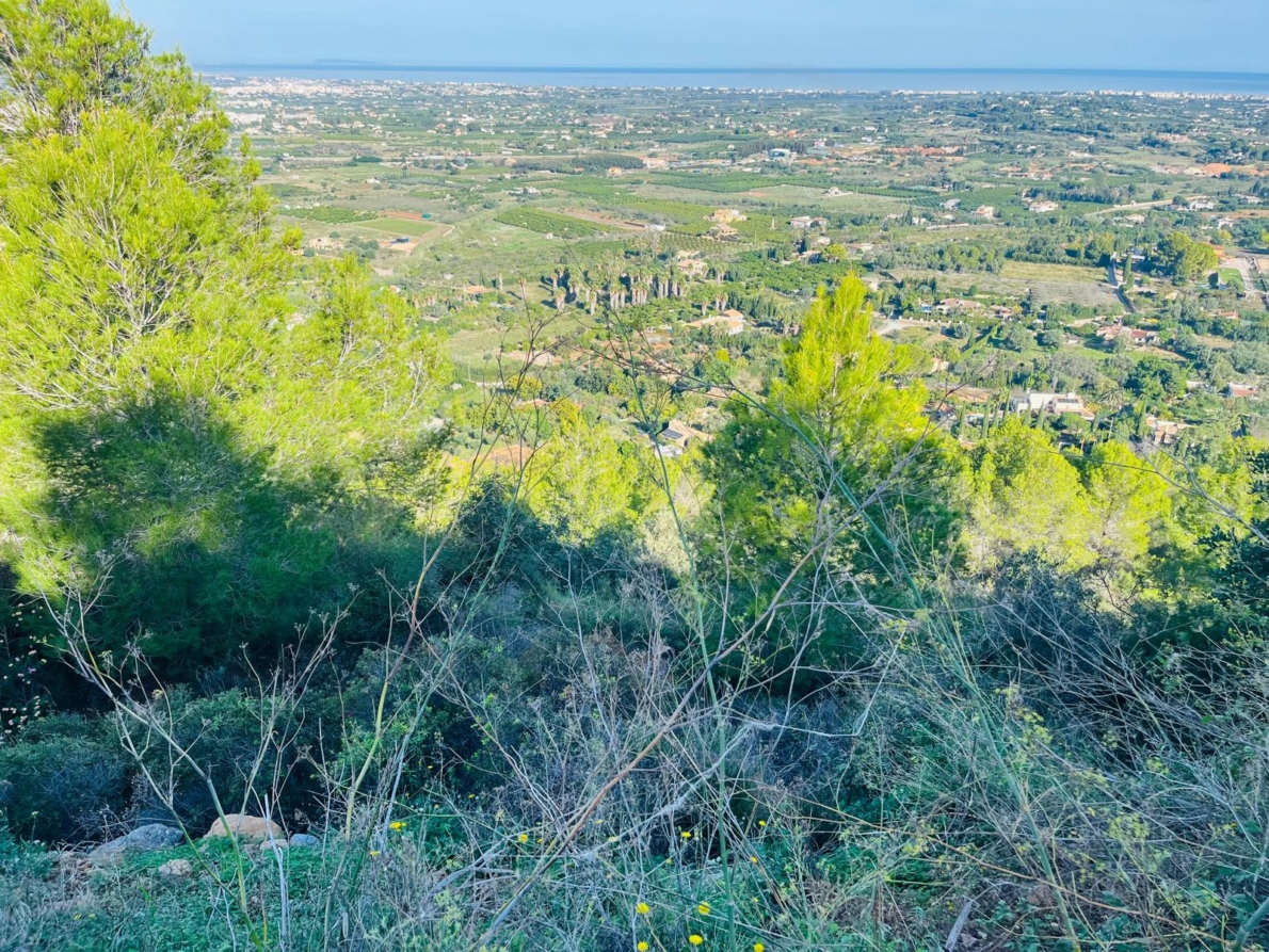 Building Plot for sale in Pedreguer