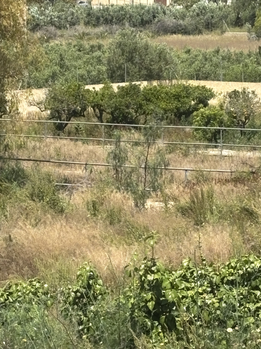 Rural Land for sale in Altea