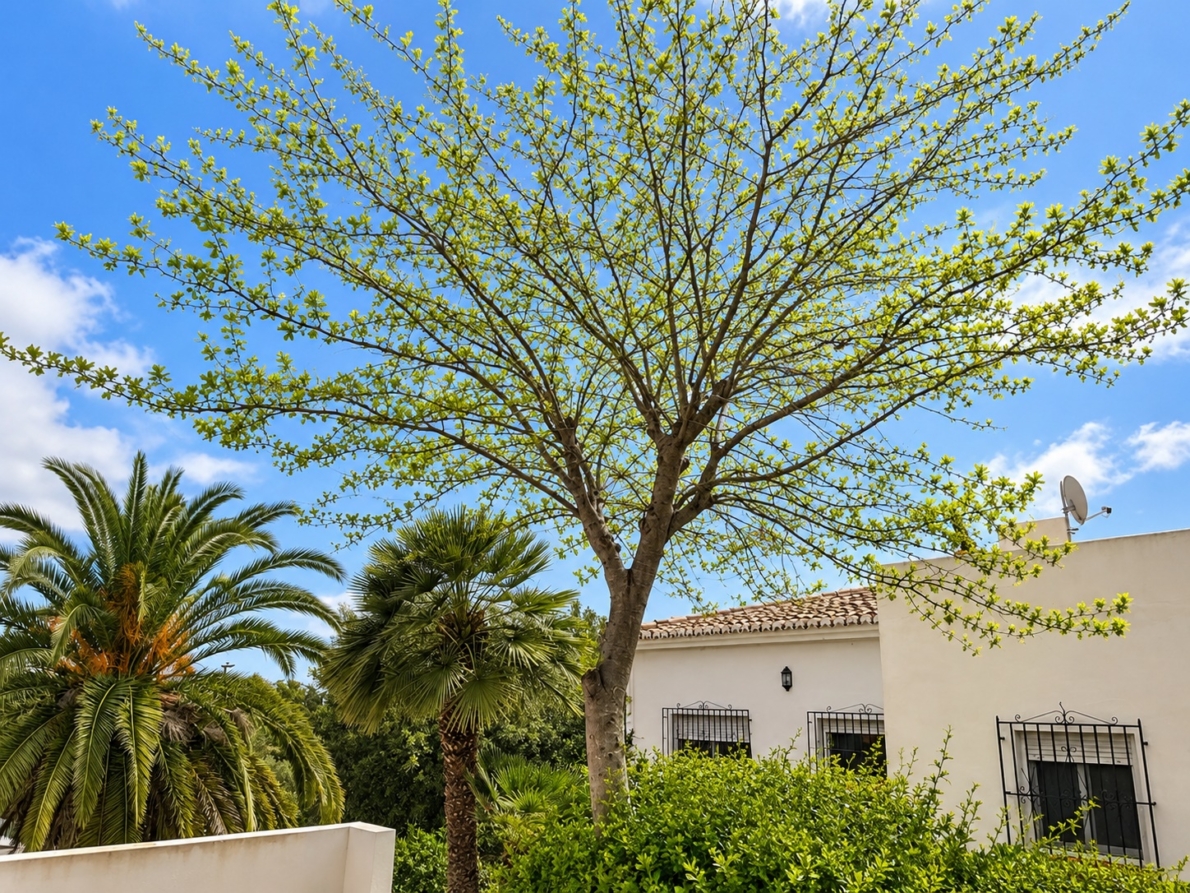 Villa for sale in Jávea