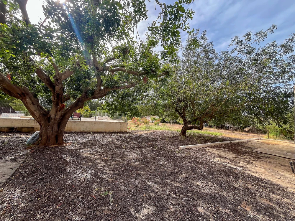 Finca for sale in Dénia