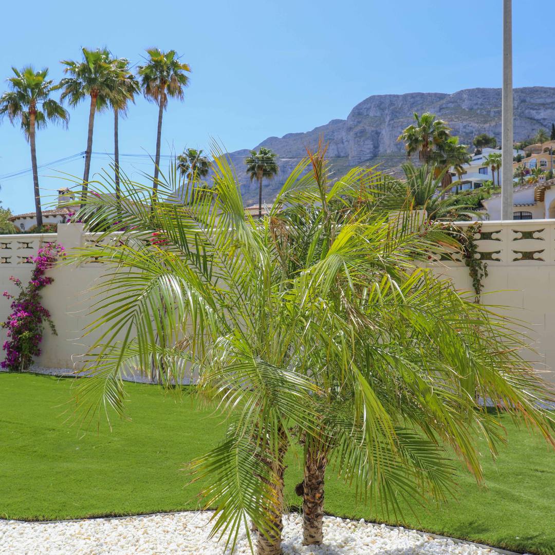 Apartment for sale in Dénia